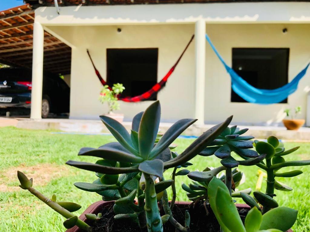 Casa Em Barreirinhas 01 아파트 외부 사진