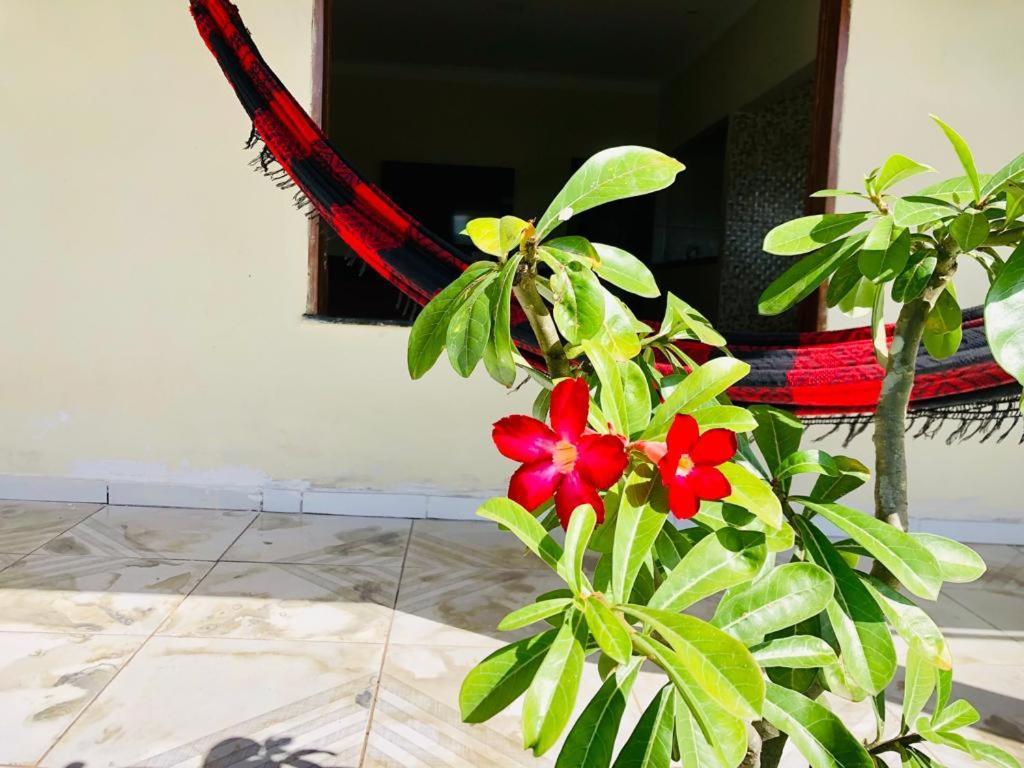 Casa Em Barreirinhas 01 아파트 외부 사진