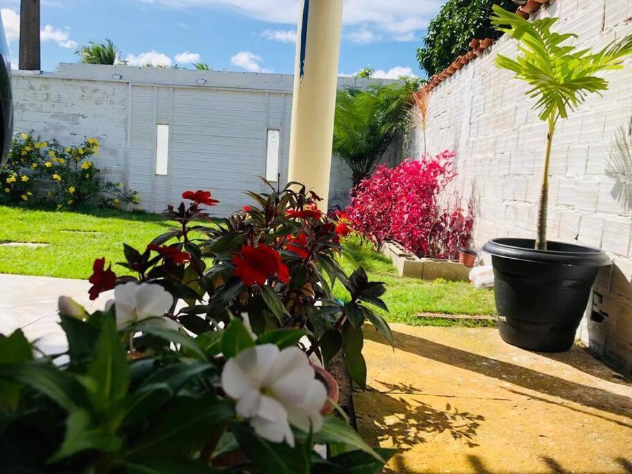 Casa Em Barreirinhas 01 아파트 외부 사진